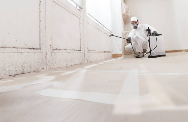 24/7 Emergency Attic Mold Removal experts in Coppell, TX