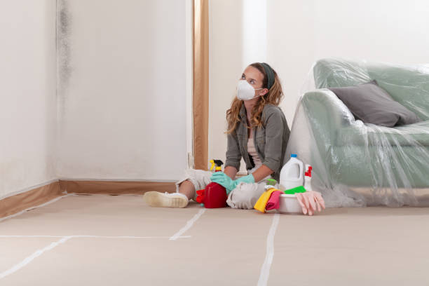 Reliable Attic Mold Removal contractor in Coppell, TX by WQB Mold Removal